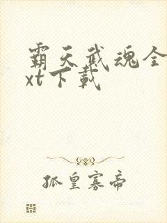 霸天武魂全本txt下载