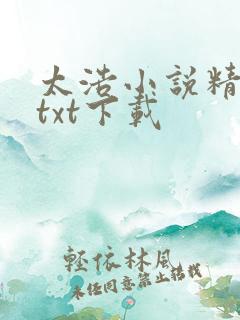 太浩小说精校版txt下载