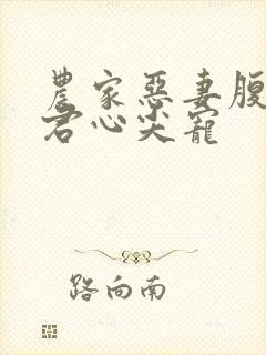 农家恶妻腹黑夫君心尖宠