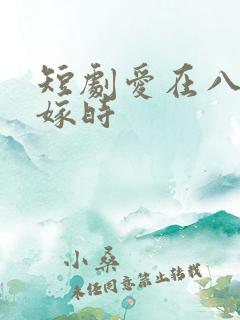 短剧爱在八零未嫁时