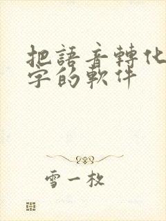 把语音转化成文字的软件