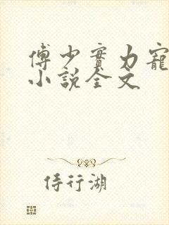 傅少实力宠妻 小说全文
