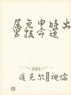 属兔申时出生的男孩命运