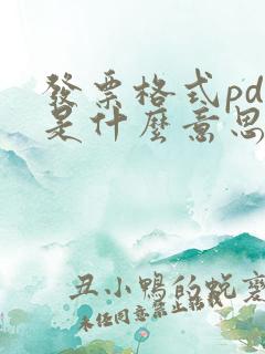 发票格式pdf是什么意思