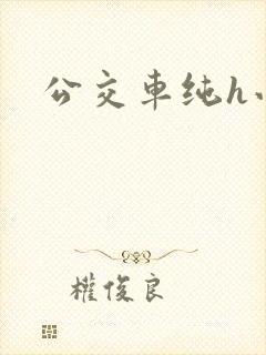 公交车纯h小说
