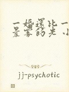 一婚还比一婚高晨雾的光 小说