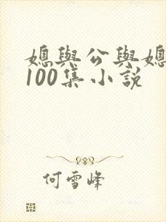 媳与公与媳系列100集小说