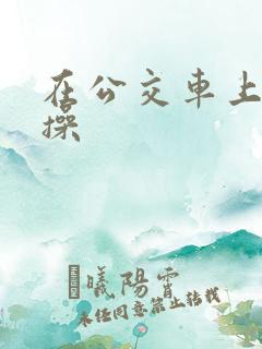 在公交车上被人操