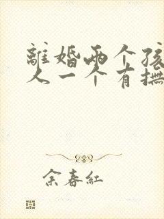 离婚两个孩子一人一个有抚养费吗