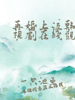再婚上流韩剧电视剧在线观看