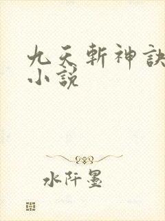 九天斩神诀林辰小说