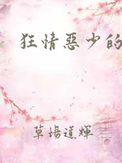 狂情恶少的禁宠