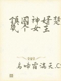 镇国神婿楚尘有几个女主