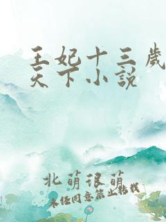 王妃十三岁凤临天下小说