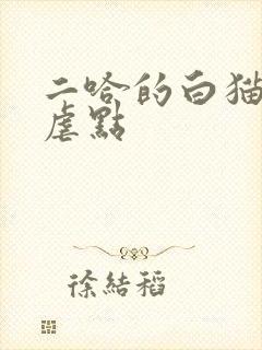 二哈的白猫师尊虐点