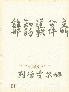 能知道公交车到哪的软件叫什么