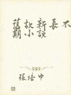 旧故新长不问归期小说
