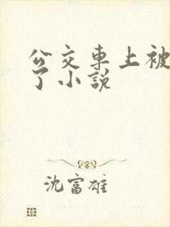 公交车上被乱操了小说