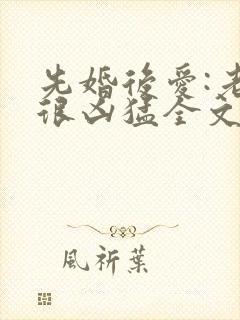 先婚后爱:老公很凶猛全文下载