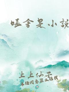 哑舍是小说吗