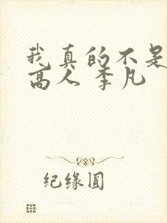 我真的不是盖世高人 李凡