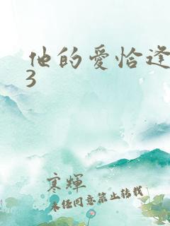 他的爱恰逢其时3