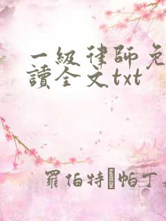 一级律师免费阅读全文txt