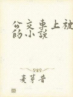 公交车上被高潮的小说