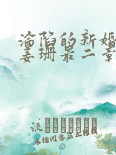 沦陷的新婚少归姜珊最二章免费阅读