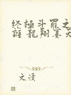终极斗罗之我是谁 龙翔赛天