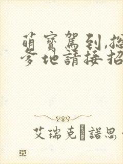 萌宝驾到,总裁爹地请接招
