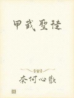 甲武圣徒