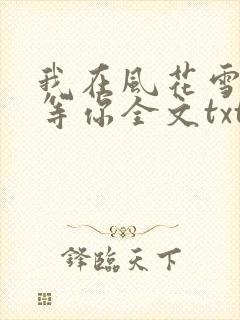 我在风花雪月里等你全文txt