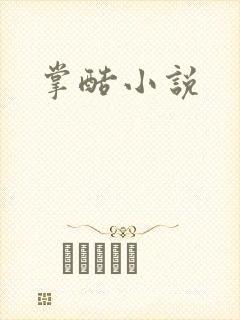掌酷小说