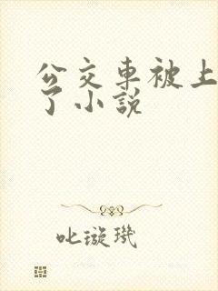 公交车被上高潮了小说
