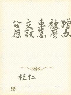 公交车被蹭了我应该怎么办