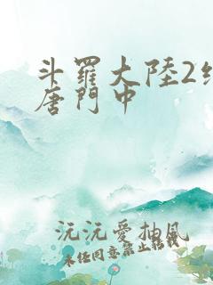 斗罗大陆2绝世唐门中