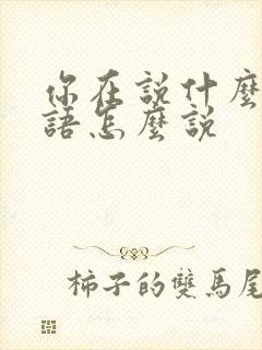 你在说什么用韩语怎么说