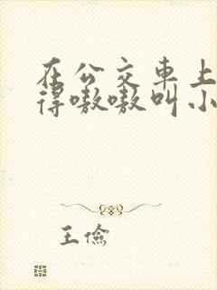 在公交车上被玩得嗷嗷叫小说