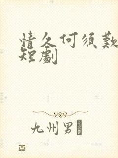 情久何须叹暮朝短剧