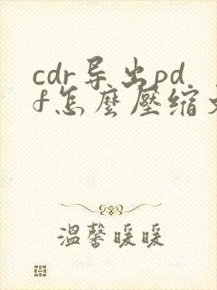 cdr导出pdf怎么压缩文件大小