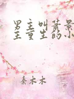 男主叫萧景行女主重生的小说