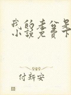 我的老公是冥王小说免费下载