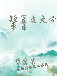 短篇爽文合集公车篇