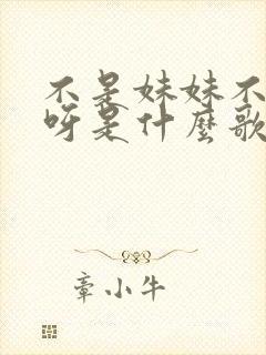 不是妹妹不爱你呀是什么歌