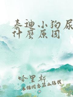 泰迪小狗尿血是什么原因