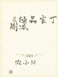 《极品家丁》无删减
