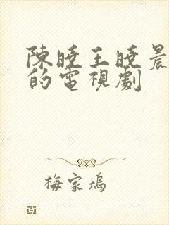 陈晓王晓晨主演的电视剧