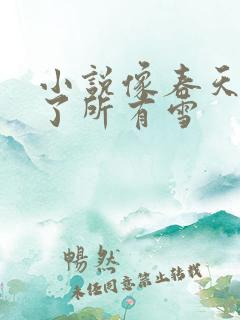 小说像春天原谅了所有雪