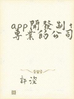 app开发制作专业的公司